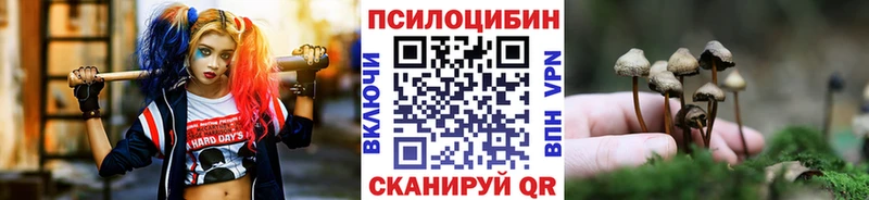 Галлюциногенные грибы Psilocybe купить наркотик Киренск